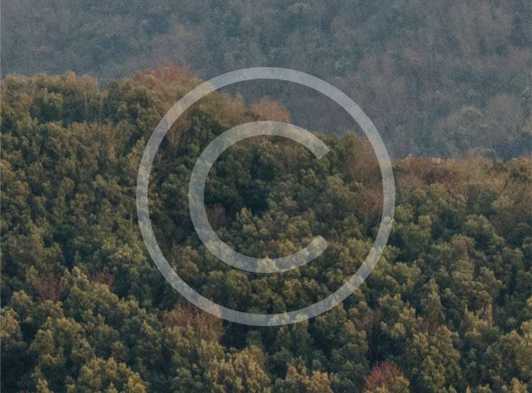 Layer-53.jpg