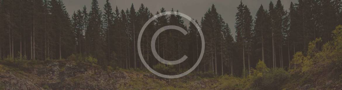 background-01.jpg