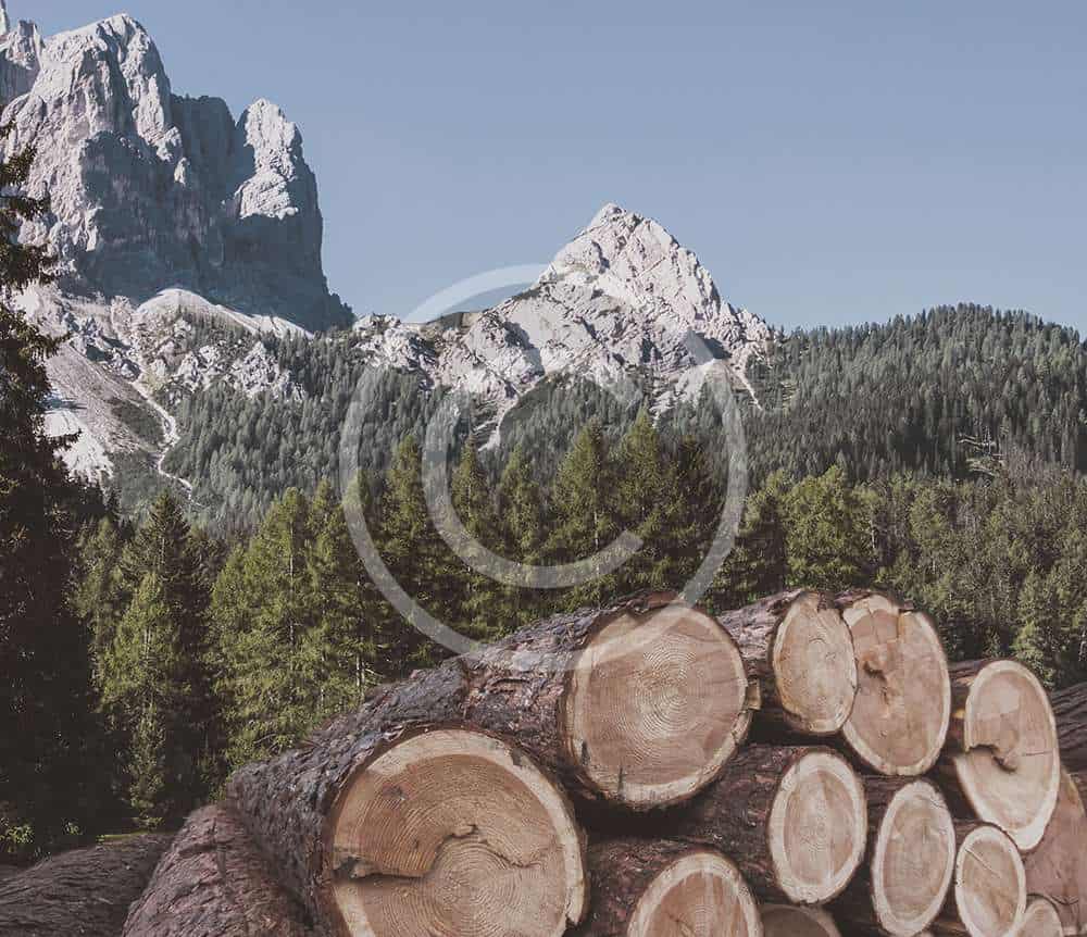 environment_img.jpg