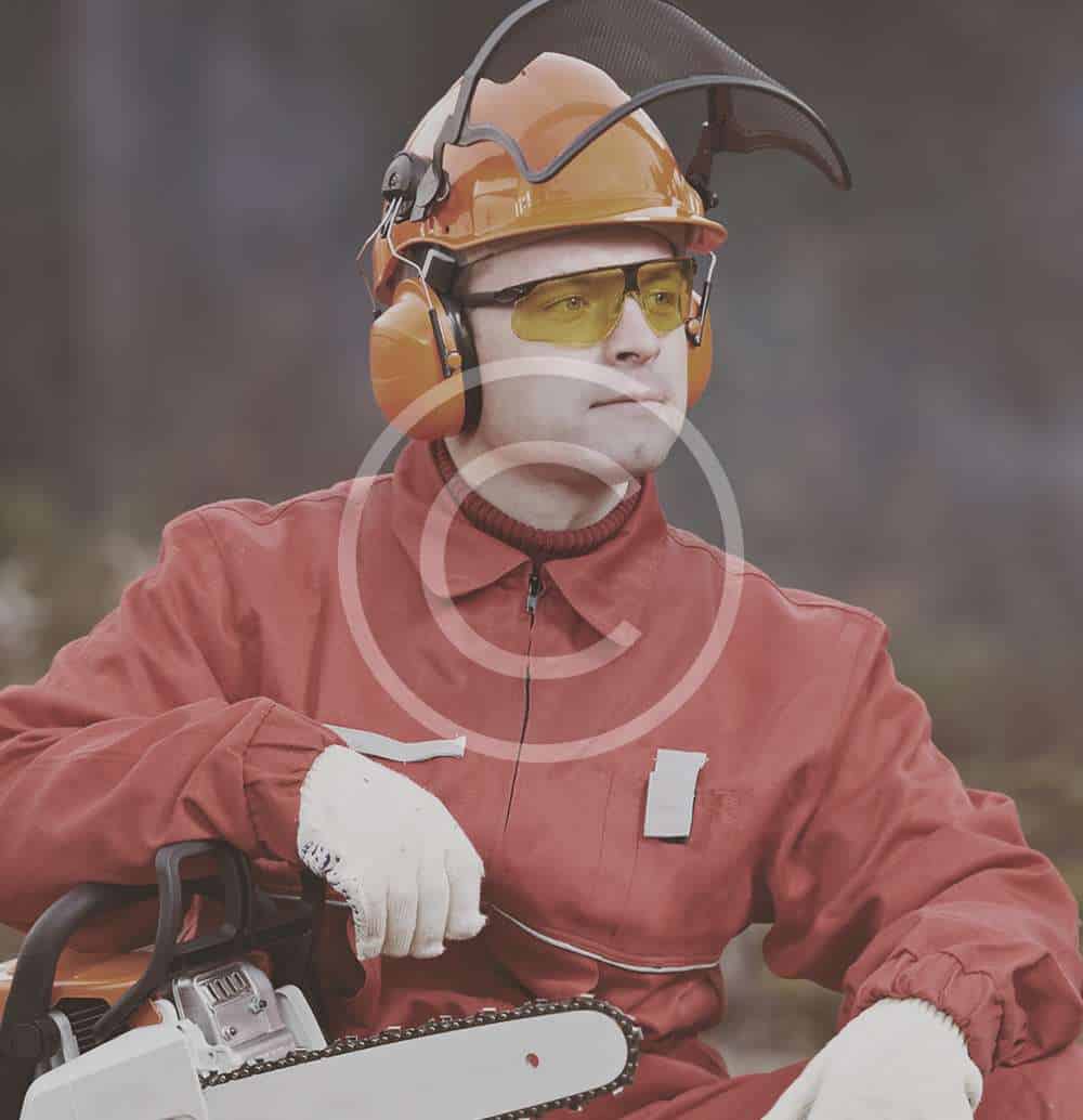 team3.jpg