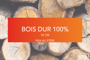 bois-dur-100.jpg
