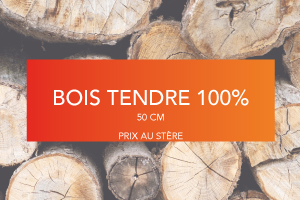 bois-tendre-100.jpg