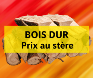 Bois dur - 30 cm